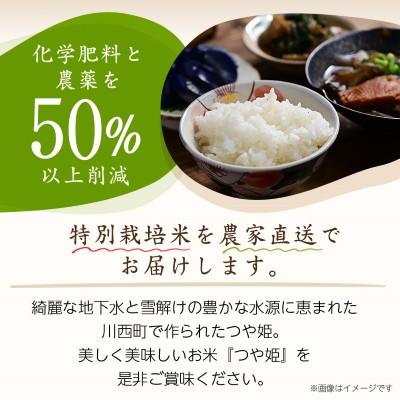 ふるさと納税 川西町 【毎月定期便】山形県産特別栽培米「つや姫」10kg(5kg×2袋)全3回 |  | 01