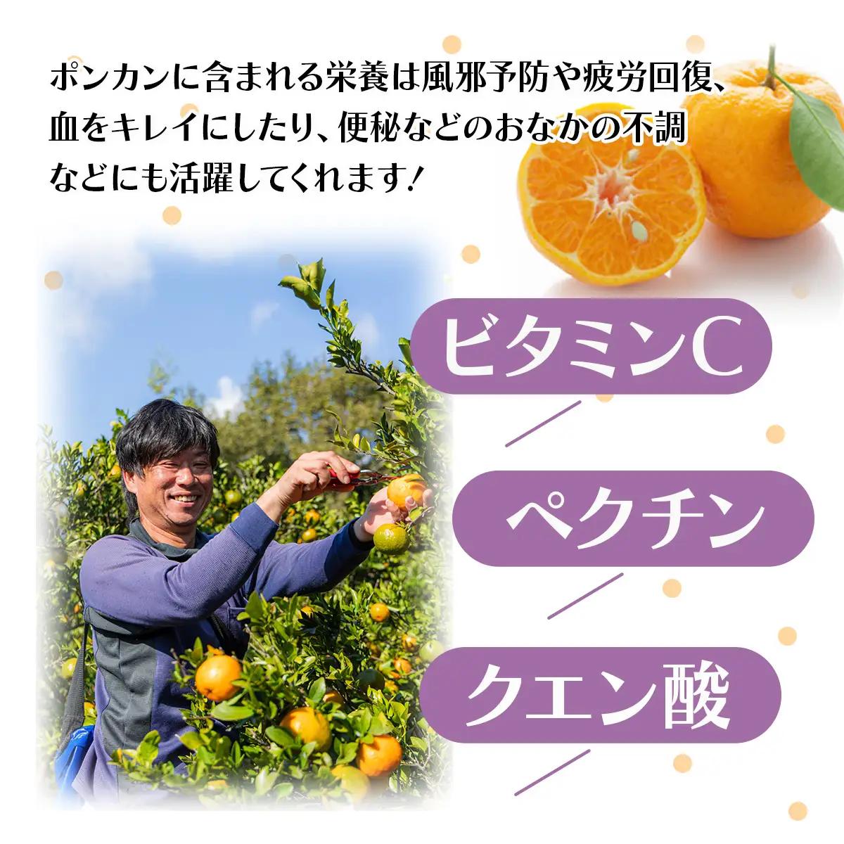 【先行予約】訳ありポンカン ＜5kg＞ Lサイズ