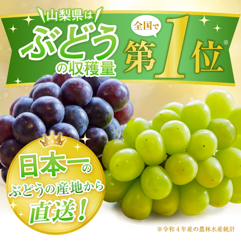 厳選！山梨県甲州市産 シャインマスカット 1kg以上（2～3房）【2025年発送】（THR）B-807