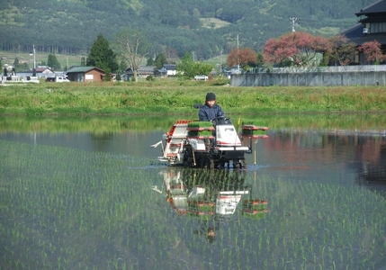 コシヒカリ 特別栽培米 玄米 5kg | そば処こうや