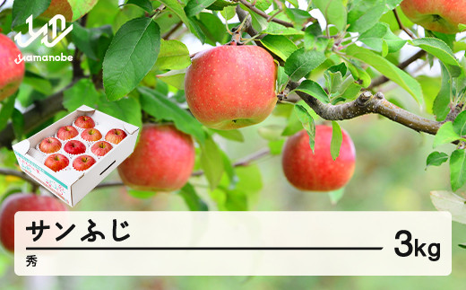 
                  【先行予約】りんご サンふじ 約3kg 秀品 リンゴ 林檎 令和8年産 2026年産 果物 山形県産 mm-risfs3
                