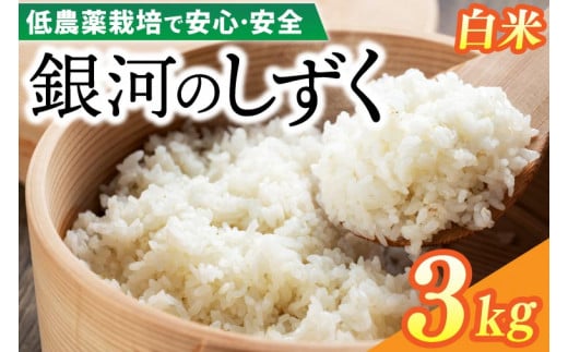 【新米 先行予約】令和6年産 銀河のしずく 3kg (精米) 低農薬栽培米 生産者直送 生産地域限定ブランド米 (EI001)