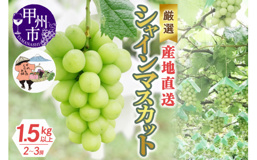 厳選！産地直送ぶどう「シャインマスカット」1.5kg以上（2～3房）【2025年発送】（KKH）B12-490 【シャインマスカット 葡萄 ぶどう ブドウ 令和7年発送 期間限定 山梨県産 甲州市 フルーツ 果物】