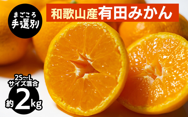 
            【まごころ手選別】和歌山産 有田みかん 2kg 1箱 (2S～Lサイズ混合) ※2025年11月上旬～2026年1月下旬頃に順次発送予定
          