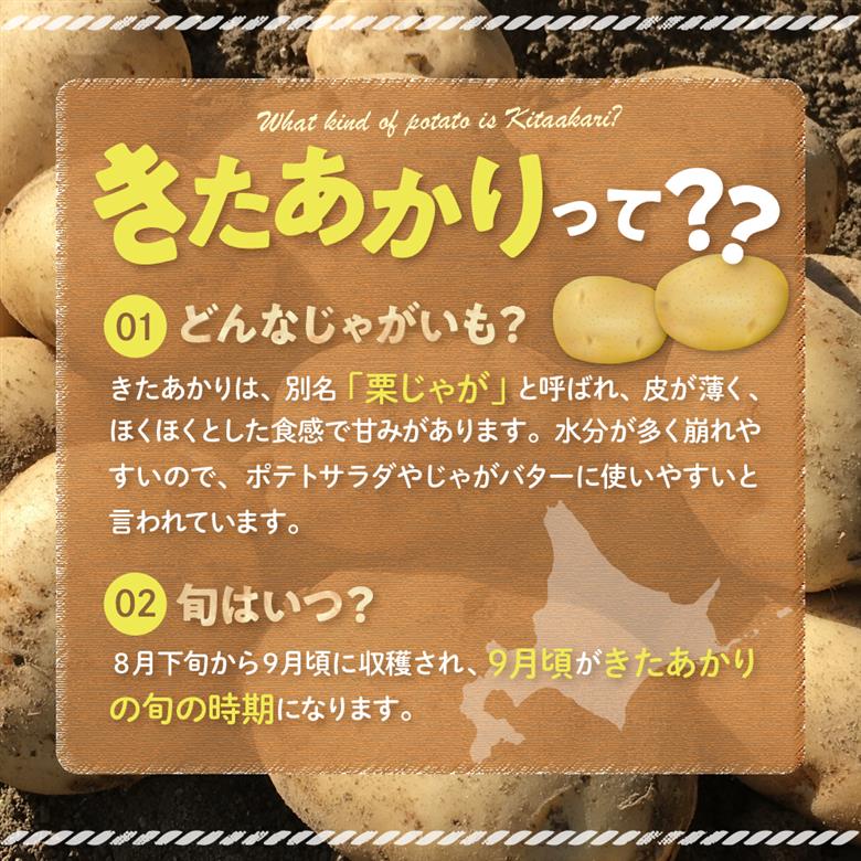 【先行受付】【2026年9月下旬より配送予定】北海道十勝芽室町 きたあかり5kg me002-003-26c