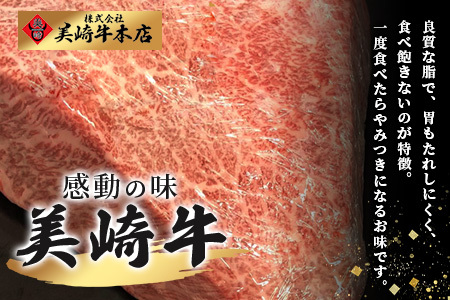 美崎牛ハンバーグ200g×6個 【 お肉 美崎牛 ハンバーグ 牛肉 肉 】O-5