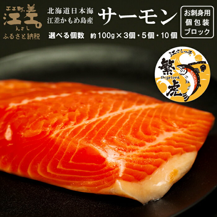 【ふるさと納税】北海道産 サーモン お刺身用ブロック 〈容量が選べる 300g・500g・1kg〉 100グラムパック 個包装　日本海かもめ島海面養殖　純国産ブランドサーモン『江さしっ子 繁虎』　生食可　小分け　トラウトサーモン　刺身　サーモンステーキ　カルパッチョ　海鮮　鮭