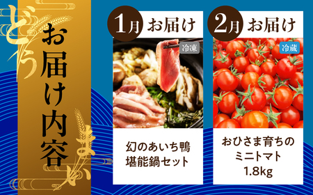 穂の国の恵み 定期便 全10回 ABコース どうまい
