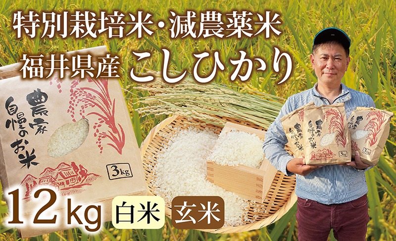 
                  ＼新米先行予約／減農薬米 こしひかり 12kg（3kg×４袋）／令和8年 福井県産 （白米～玄米） 人気品種 少量サイズ便利
                