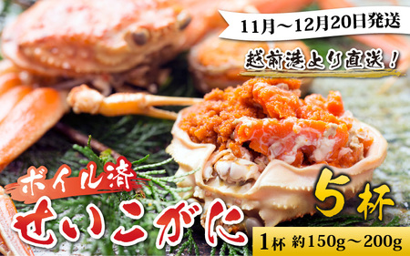 【先行予約】越前港より直送！ せいこがに（約150～200g）5杯※発送前に在宅確認の電話連絡をいたします!【11月～12月発送予定】 セイコガニ せいこ蟹 セコガニ 雌 ずわいがに せいこがに かにみそ カニ味噌 越前ガニ ボイル 冷蔵 カニ 鍋 海鮮 かに 国産 南越前町 送料無料