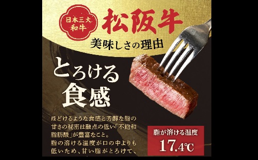 松阪牛 A5 シャトーブリアンステーキ 360g（120g×3枚）【7.2-4】