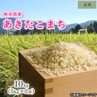 ふるさと納税 大仙市 令和7年産　秋田県産あきたこまち　玄米5kg×2袋