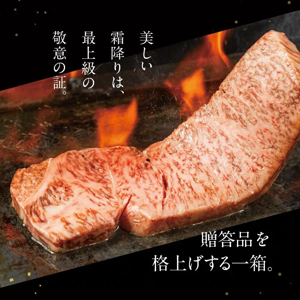 [A5等級] 飛騨牛 ステーキ サーロインステーキ 200g×2枚 霜降り 牛肉 肉 和牛 牛肉 肉 冷凍 焼肉 ステーキ 贈答 肉 お楽しみ 牛肉本巣市 トキノ屋 食品 人気 [mt2237]  の