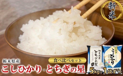 【令和7年産】栃木県こしひかり・とちぎの星食べ比べセット（精米・5kg×1袋ずつ）　※離島への配送不可