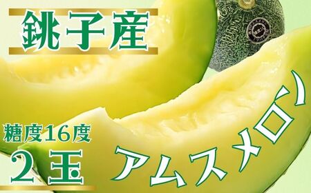 銚子産 アムスメロン 2玉(1玉約1.7〜1.8kg未満) 弥兵衛のアムスメロン メロン アムス アムス メロン メロン