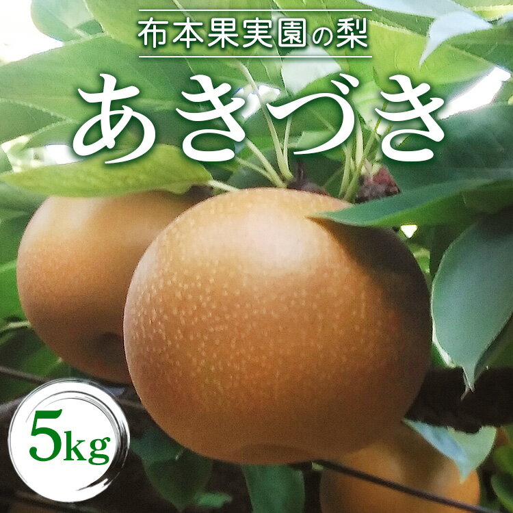 【ふるさと納税】【早期予約】布本果実園の梨「あきづき」5kg※北海道・沖縄・離島への配送不可 ※2025年9月下旬より順次発送予定