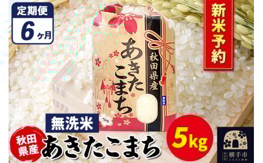 《令和7年産 新米受付》《定期便6ヶ月》あきたこまち 5kg×1袋【無洗米】秋田県産 こまちライン