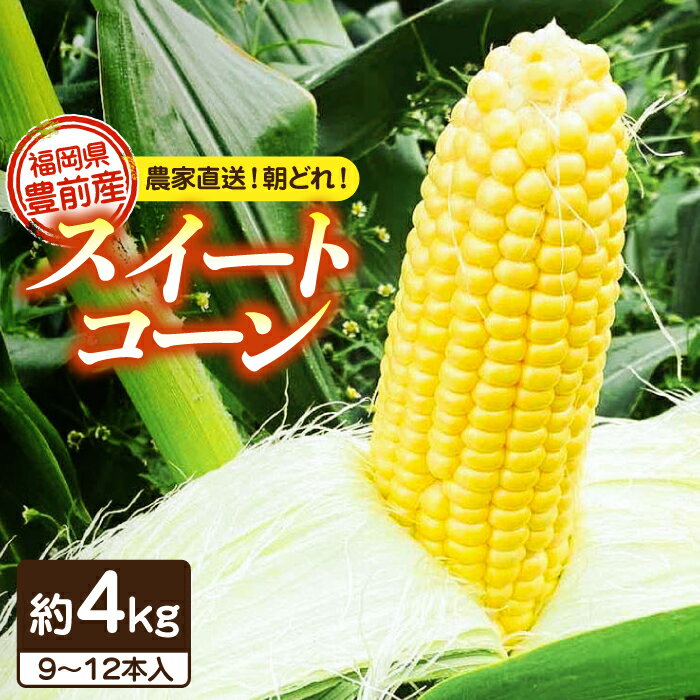 【ふるさと納税】【先行予約受付　2026年6月頃より順次発送】【冷蔵配送】農家直送 朝どれ スイートコーン 約4kg（9〜12本入り）《豊前市》【湯越農園】 野菜 コーン [VBC001] 12000 12000円