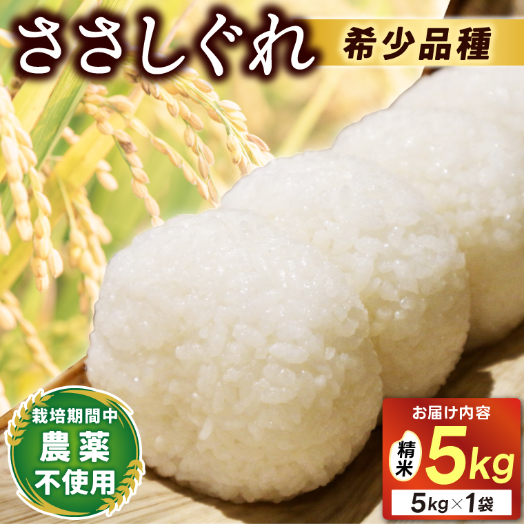 ★令和7年産★ 新米 ささしぐれ 5kg (精米) (DE006)