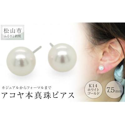 ふるさと納税 松山市 K14ホワイトゴールド　天然アコヤ真珠　7.5mm　一粒　ピアス