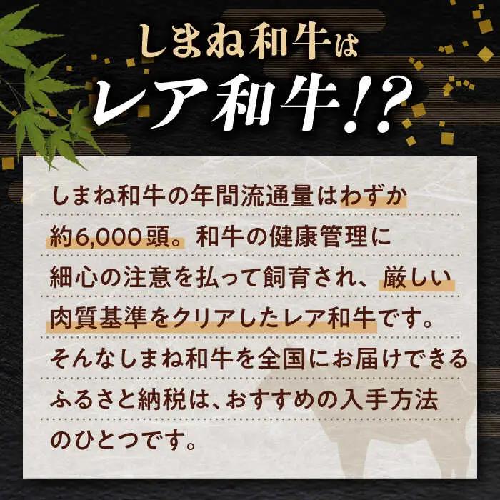 肉 【ブランド牛・しまね和牛】小間切れ 500g×2パック カレー・シチュー用 島根県松江市/Do corporation株式会社[ALFU015] 肉 肉