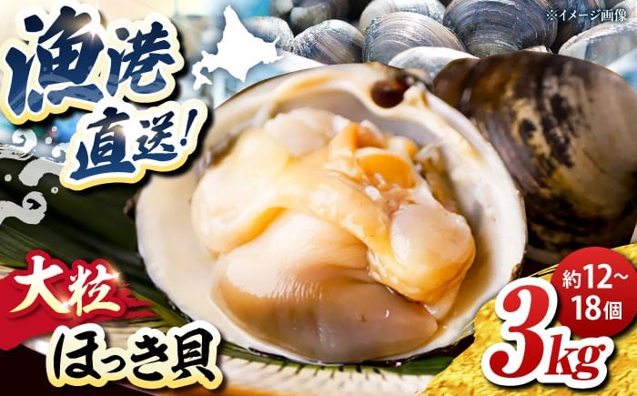 
            7月中旬以降順次発送！厚真町近海で獲れた 活ほっき貝 3kg（約12〜18個）《厚真町》【鵡川漁業協同組合】 ほっき ほっき貝 ホッキ ホッキ貝 北寄貝 海鮮 冷蔵配送 北海道 [AXAL003]
          