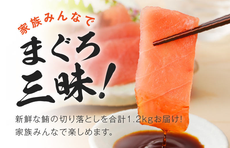 【家計応援】天然まぐろ 切り落とし 合計 1.2kg 小分け 150g×8P【訳あり サイズ不揃い 刺身 海鮮丼 鮪 まぐろ マグロ ユッケ 海鮮 ネギトロ 小分け ファミリー向け】 099H2461