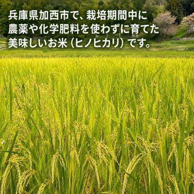 ふるさと納税 加西市 コウノトリ舞う田んぼで大自然が育てた有無ファームこだわり米 5分づき5kg[No5698-2788] |  | 01