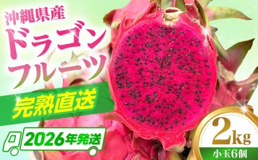 ドラゴンフルーツ 【小玉】 2kg (6玉) 【2026年発送 先行受付】 タカエスフルーツ＆ベジタブル [BCBH006] フルーツ ふるーつ Fruit 赤 果肉 レッド ピタヤ トロピカルフルーツ 完熟ドラゴンフルーツ トロピカル くだもの 青果 果実 国産 産地直送 産直 沖縄県産 農家直送 南国 果物 火龍果 果物 フルーツ デザート お取り寄せ 先行予約 期間限定 沖縄県 沖縄市