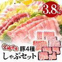 【ふるさと納税】《レビューキャンペーン》 宮崎県産 4種 豚しゃぶ セット 合計3.8kg 豚ロース 400g×2パック 豚肩ロース 400g×1パック 豚バラ 400g×2パック 豚モモ 450g×4袋 冷凍 豚肉 豚 肉 グルメ お取り寄せグルメ 宮崎県 宮崎市 送料無料