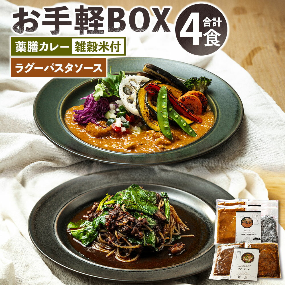 【ふるさと納税】お手軽BOX 発酵×薬膳カレー・竹炭雑穀米・発酵牛すじのラグーパスタソース 各2食分 合計1.2kg（200g×6） ソース カレー 惣菜 雑穀米 お米 ごはん ご飯 調味料 健康 美容 冷凍 山梨県 中央市 送料無料