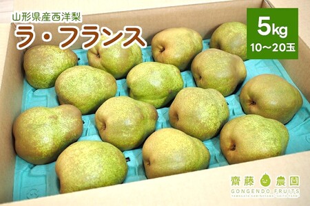 西洋梨（ラ・フランス）５ｋｇ　ご家庭用　0037-2508
