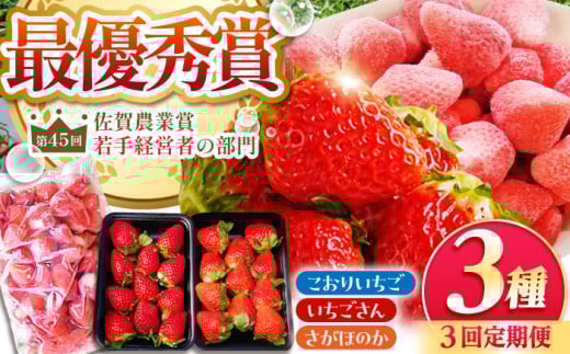 【全3回定期便】いちご食べ尽くし定期（さがほのか いちごさん こおりいちご）【むらおか農園】 [HAF027] いちご 苺 イチゴ 果物 フルーツ ichigo strawberry 冷凍いちご いち