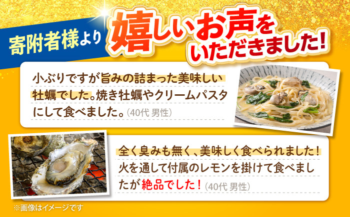 牡蠣 ハマボウ 4kg