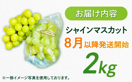 【2026年発送 先行予約】シャインマスカット 2kg / 佐賀県 / リフルット株式会社 [41ABAA014]