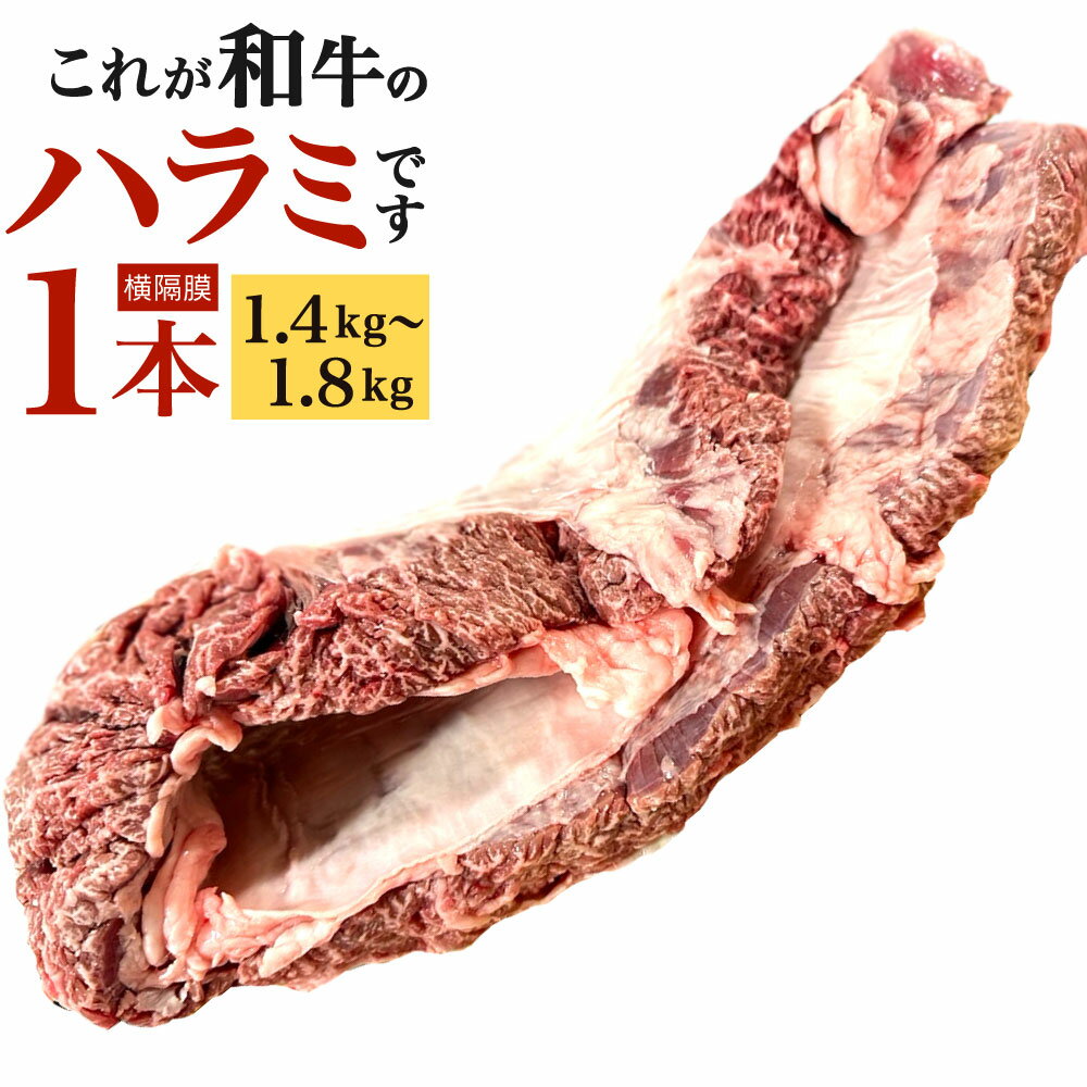 【ふるさと納税】〈冷蔵〉幻のハラミ これが和牛のハラミ(横隔膜)です 1本 (1.4kg～1.8kg) 牛ハラミ 牛肉 お肉 ハラミ まるごと 一本 和牛 新鮮 鮮度 ブロック 焼肉 バーベキュー BBQ 横隔膜 冷蔵 九州産 送料無料