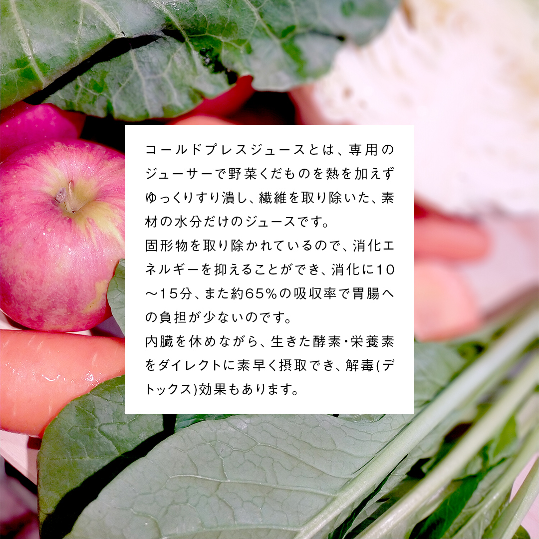 【定期便 全６回】野菜と果物の コールドプレスジュース 200ml × 6本セット 酵素ドリンク デトックス 免疫 ライフスタイル 健康 美容 無添加 野菜 果物 新鮮 有機 無農薬 減農薬 特別栽培