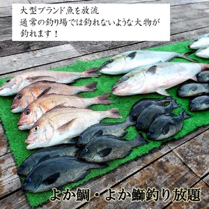【C2-026】【釣り堀ハマカツ】1名釣り堀利用券(小学生以下1名)