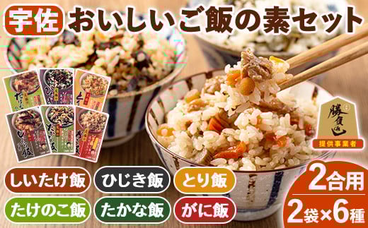 宇佐おいしいご飯の素セット(6種×各2袋)ご飯の素 混ぜご飯 簡単 時短 おにぎり お弁当 郷土料理 食べ比べ セット 勝負めし【102200201】【観光館　文福】