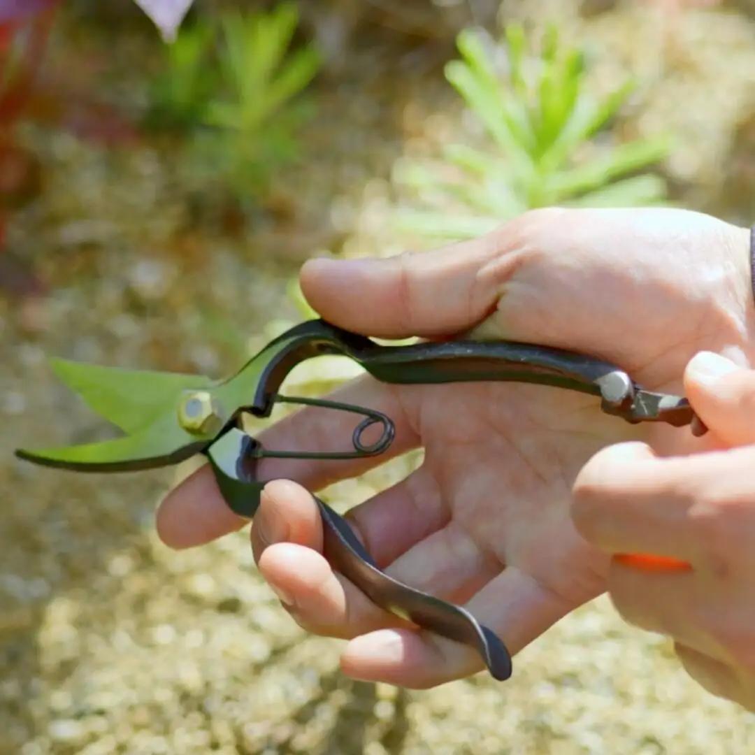 剪定鋏 YP190 [外山刃物] 鍛造 燕三条製 園芸 盆栽 プロ仕様 宗家秀久
