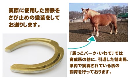 蹄鉄 （ 鉄製 ゴールド ）& 馬のしっぽの毛 ストラップ （ 栗毛 ） 【馬っこパーク・いわて】／ てい鉄 さび止め 錆止め サビ止め 金 金色 鉄 加工 馬毛 尻尾 幸運 開運 厄除け 魔除け ア