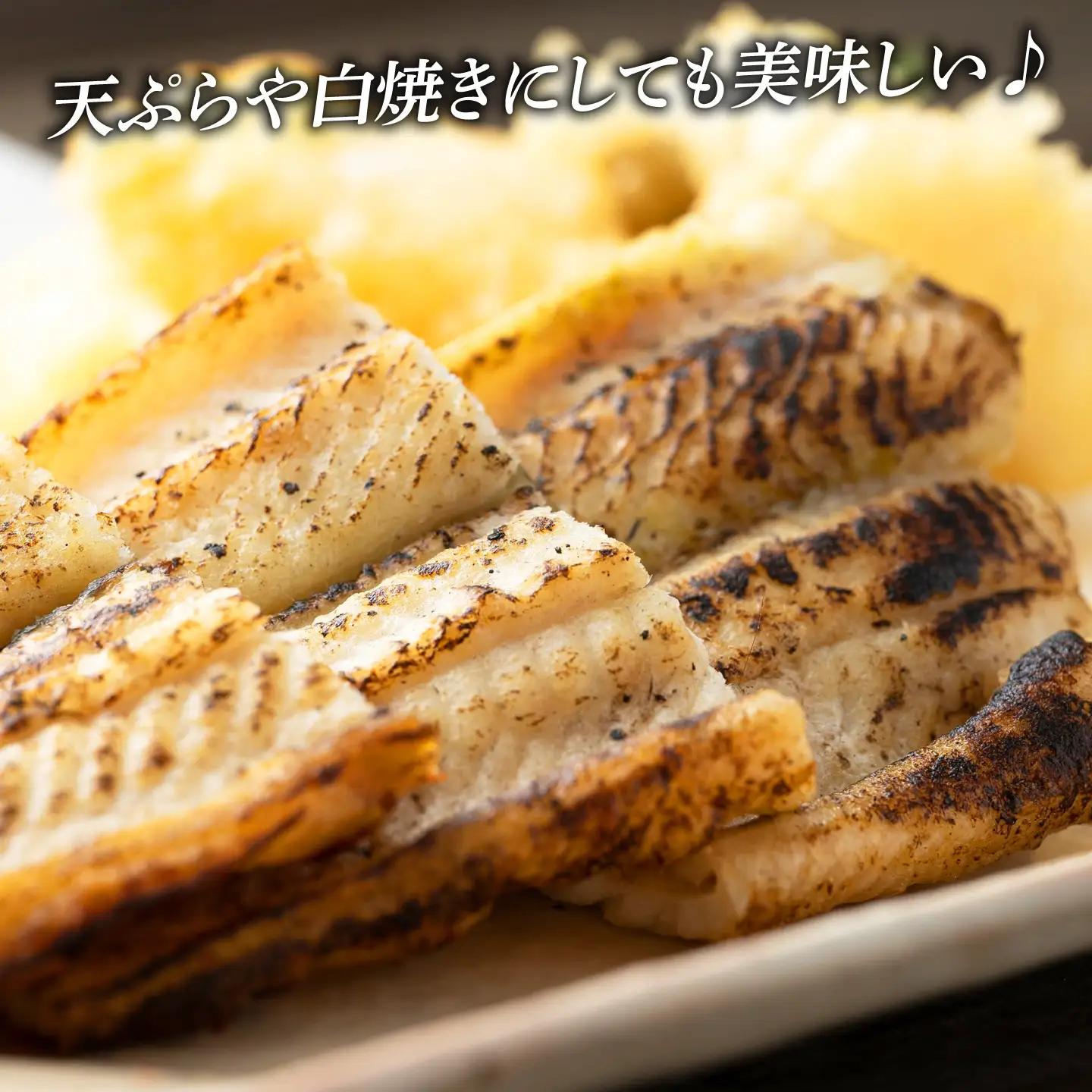 対馬 穴子 開き 800g [WAD012] アナゴ 冷凍 新鮮 あなご 穴子重  