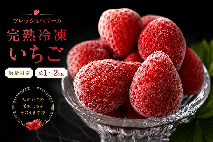 【ふるさと納税】完熟冷凍いちご 約1～2kg ＜数量限定！！＞ フレッシュベリーの完熟冷凍いちご！大中小サイズ混合約2kg（1kg×2袋）やよいひめ・かおり野・紅ほっぺ・もういっこ ≪イチゴ 苺 ジャム ヨーグルト おやつ≫