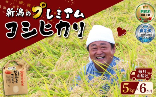 【定期便】 新潟 プレミアム コシヒカリ 5kg 6か月 令和8年産 特別栽培米 新潟 米 新米 白米 精米 新潟産 プレミアムコシヒカリ 新潟米 コシヒカリ お米 こめ ご飯 ごはん お弁当 おにぎり ブランド米 農家直送 美味しい 米 おすすめ ブランド 新潟県 新発田市 居城農園 ijiro004