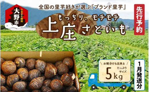 【先行予約】【1月発送分】満天☆上庄産さといも 5kg 日本一の味をめざし、有機肥料配合、減農薬栽培の「独自栽培」で作る里芋