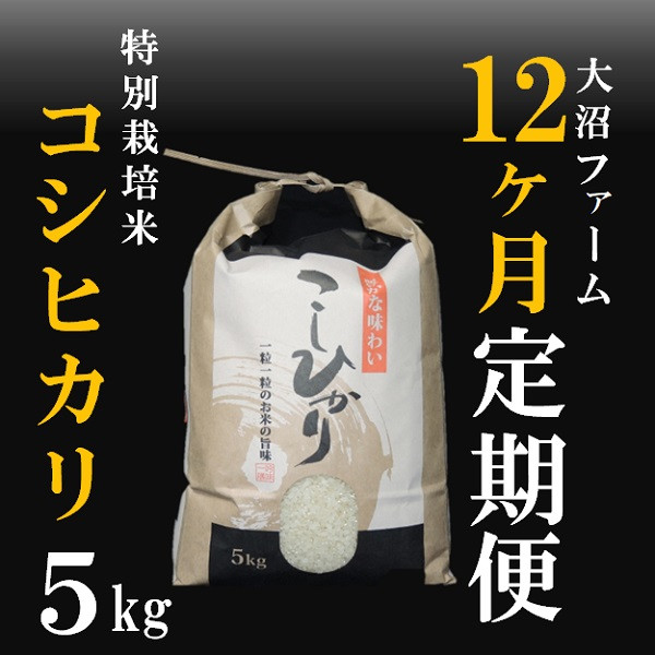 
                  10月スタート【定期便12回】大沼ファームの特別栽培米コシヒカリ5kg
                