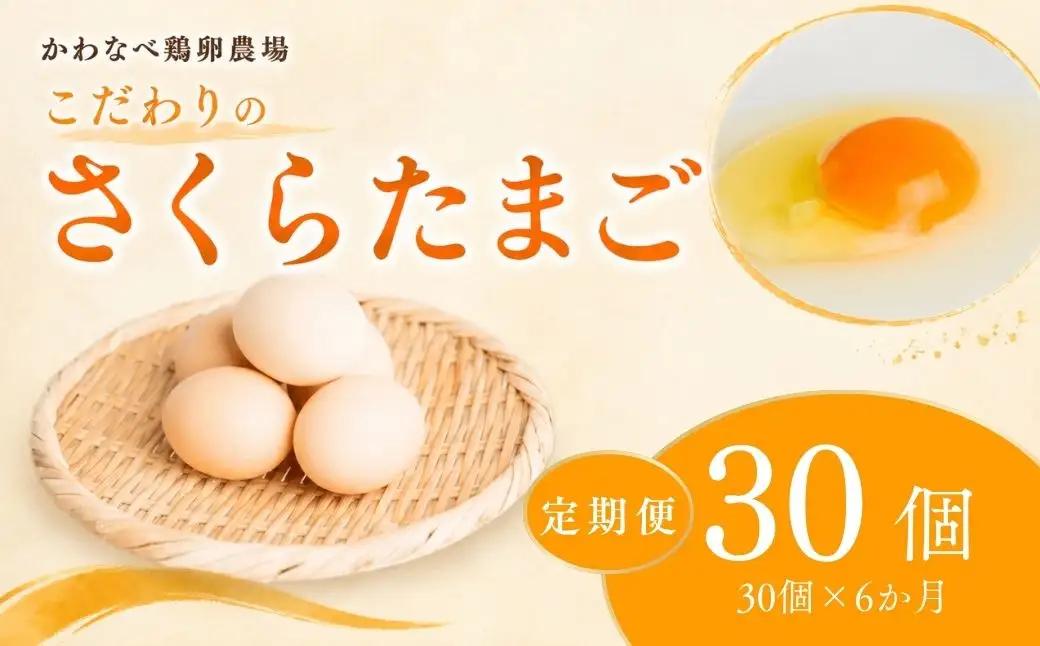 【定期便 30個×6ヶ月】かわなべ鶏卵農場のこだわりのたまご さくらたまご 青梅市