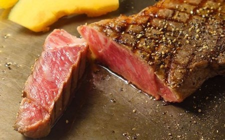 熊本県産 あか牛 ステーキ ＆ ローストビーフ 3種セット 計1.1kg 国産 和牛 牛肉