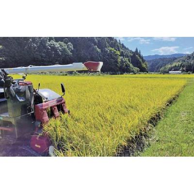 ふるさと納税 関ケ原町 関ケ原町中挟地区限定米 コシヒカリ 精米 10kg |  | 03