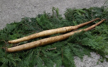 有機栽培で育てたこだわりの自然薯 | 豊後高田市 自然薯